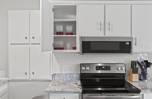 Colonel Elias Earle Historic District Condo | The Burrow @ Earle Street