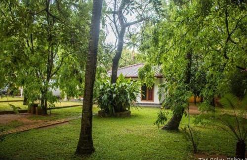 Dambulla House | The Calm Cabana