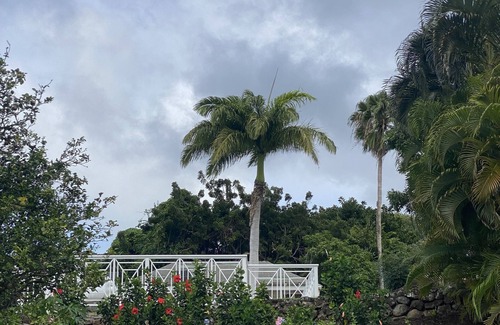 Charlestown Villa | The Captain's House 3 Bed Villa with pool, gardens, peak & ocean views
