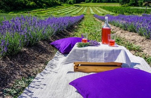 West Lincoln House | The Carriage House @ Mingle Hill