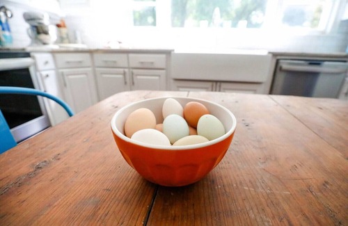 Summerville Historic District House | The Chick Inn on Main Neighbors!