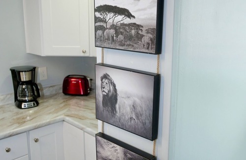 Old Brooklyn House | The Cleveland Zoo House! Traveling Nurses! Guardians Games! NEW Central Air Cond