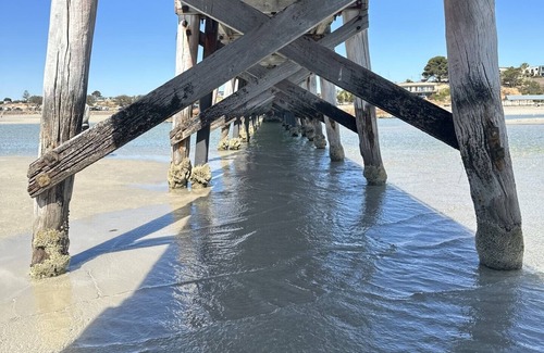 Moonta Bay House | The Coastal Crab, Moonta Bay. Family & Pet friendly holiday accommodation