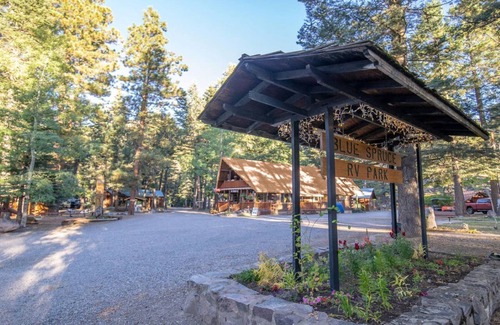 Bayfield Cabin | The Colorado Spruce Cabin #15