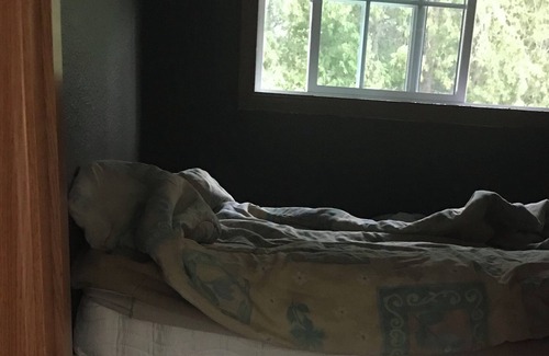 Huron-Kinloss House | The Cottage is pet friendly
