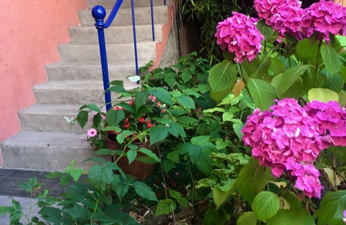 Quartier Victor Hugo House | The countryside in the city at the gates of Paris City Break Gîte de France.