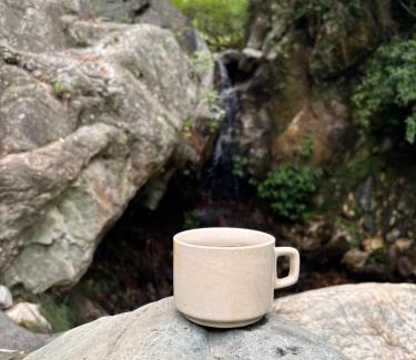 Jibhi House | The Cozy Cabin, Jibhi