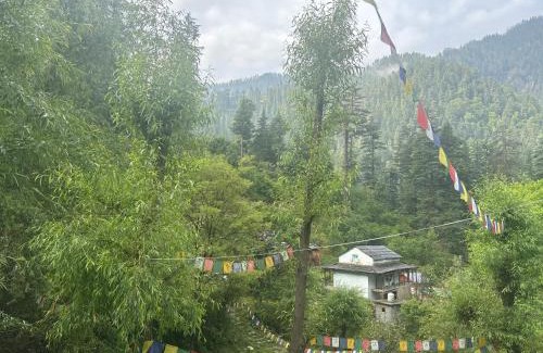 Jibhi House | The Cozy Cabin, Jibhi