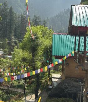 Jibhi House | The Cozy Cabin, Jibhi