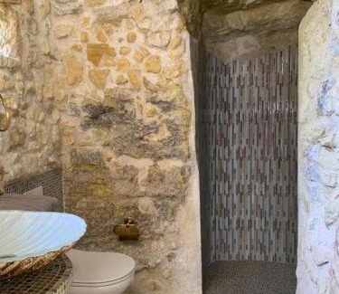 Civray-de-Touraine House | The Cygnet at the 'Songbird Sanctuary'