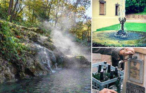 Hot Springs House | The Darcy