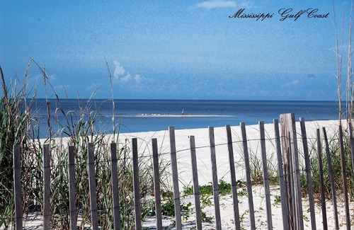 Mississippi City House | The Deep Blue Den! Beautiful view of the Gulf of America!