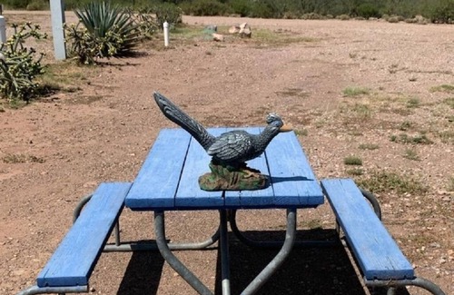 McNeal House | The Desert Oasis Campground