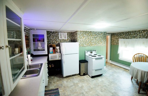 Dexter Apartment | The Dexter Suite. Now with Plants! Vintage-styled 1-bedroom apt near downtown