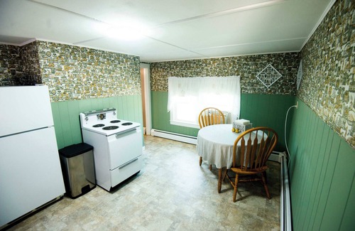 Dexter Apartment | The Dexter Suite. Now with Plants! Vintage-styled 1-bedroom apt near downtown
