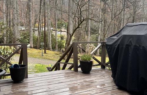 Waynesville Cottage | The Dogwood Cottage in Walker in the Hillsn