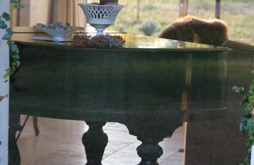 Selles-sur-Cher House | The Dovecote of the Château des Nouies (The Dove House)