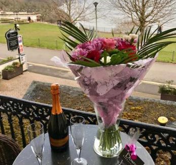 Babbacombe Hotel | The Downs, Babbacombe