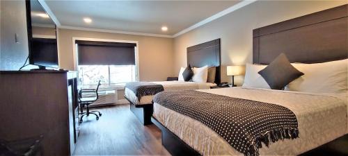 South Lake Tahoe Hotel | The Elet Hotel