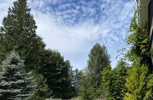 Port Angeles House | The Elwha Oasis - with Sauna & Salt Water Hot Tub