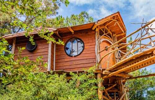 Paige Cottage | The Enchanting Hobbit's Nest Treehouse- A Magical Escape in the Lost Pines Shire
