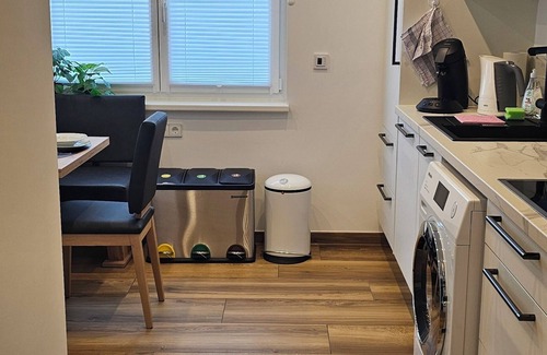 Stuttgart Apartment | The Exotic Tropical Palace - ComfyHome Apartments Stuttgart