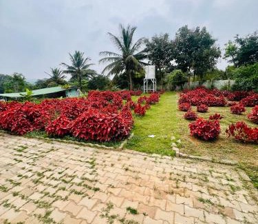 Agara Other | The Fairy Tale Farms