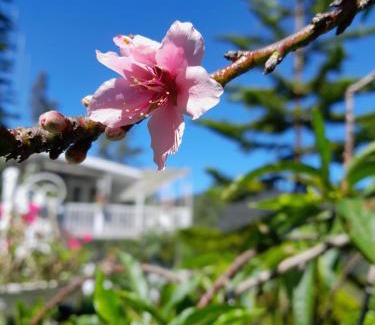 Nuwara Eliya House | The Farm House Nuwaraeliya