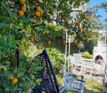 Nuwara Eliya House | The Farm House Nuwaraeliya