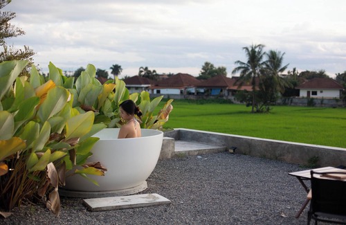 San Sai Villa | The Floating Villa BBQ Bikes Rice Fields