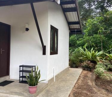 Midigama House | The Flora