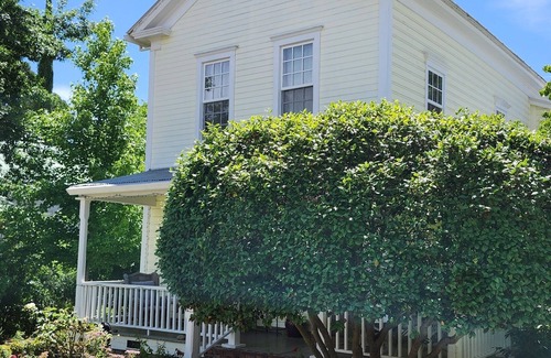 Sutter Creek House | The Foxie Estate - Sleeps 14, On Main Street!