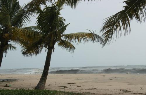 Mararikulam House | The Frangipani Marari Beach