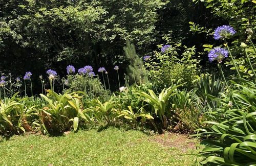 Camacha House | The Garden of Paradise