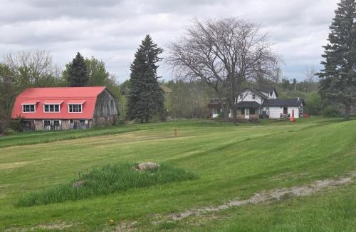Roseneath Villa | The Gathering Spot - Soccer and Cricket Ground