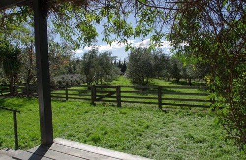 Martinborough House | The General Store - set in an olive grove