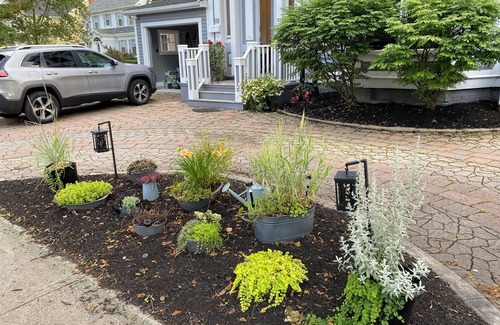 Queens Square Apartment | The Gladys (4.5 Star)2nd Floor Suite(1 of 3 units)