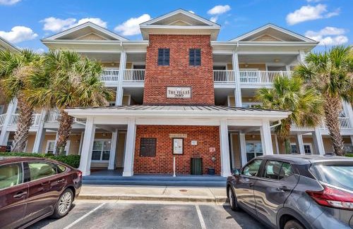Garden City Apartment | The Golden Gnomes