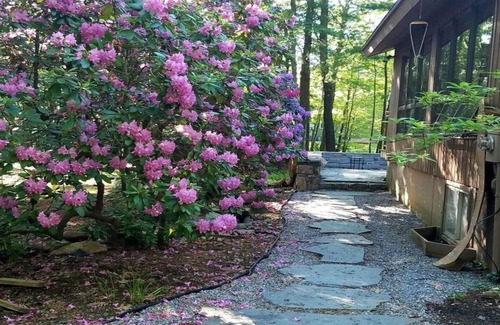 Goshen House | The Goshen Glass Chalet