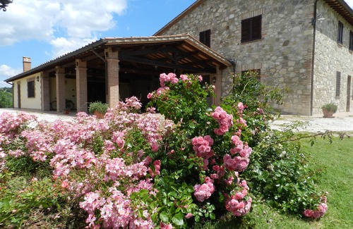 Loreto Apartment | THE GRAIN The Assignano countryside