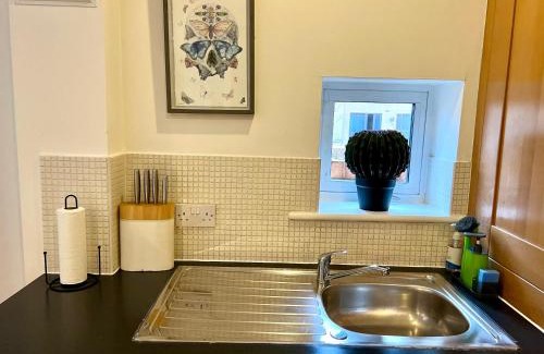 Cambridge Apartment | The Grapevine