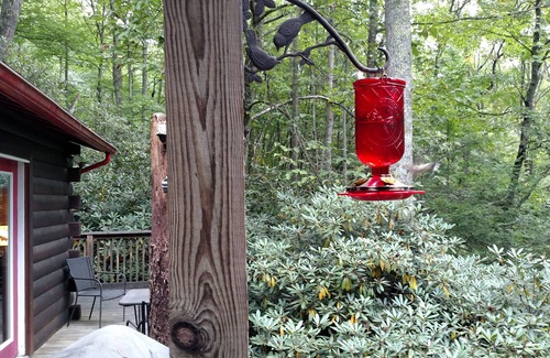 Boone Cabin | The 'Gray' Escape, Honeymoon Cabin