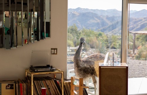 Morongo Valley House | The Guest House @ Kaleidoscope Desert 5-Acre Animal & Art Sanctuary