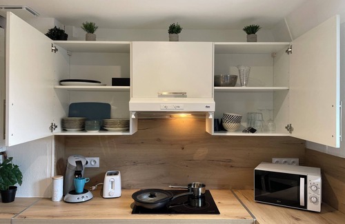 Centre Sud Apartment | THE HALTE DES DUCS IN THE HEART OF DOWNTOWN DIJON