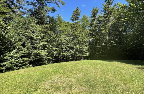 Greenville Cabin | The Happy Place (SNOWMOBILE FROM CABIN TO ITS TRAILS & TOWN)