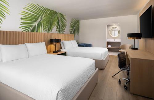 Downtown Hollywood Hotel | The Harrison Downtown Hollywood