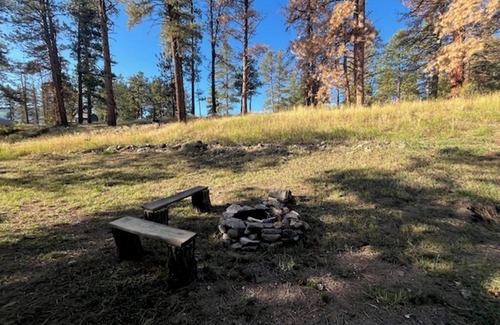 Ponderosa Pines House | The Harvest Moon Mountain Retreat