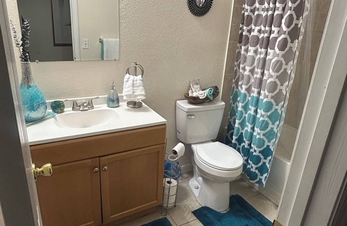 Terrace Park Apartment | The Haven near Busch Gardens