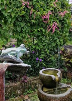 Mendoyo Bed & Breakfast | The Hidden Gem of Jembrana Bali