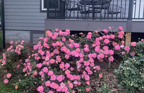 Farmington House | "The Hideaway 1" Charming 2-bedroom house with WiFi, AC in fabulous Farmington